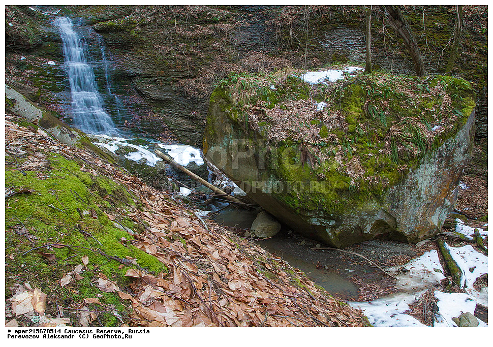 ������������� ����, ���������� ������, ���������-���������� ����������, ������, ���, ������, �������� ������, ���������� ��������������� ����������, ���������� ��������������� ��������� ���������� ���������� ����� �. �. �����������, �������, ����, ����� ����, ���, ��������, ����, ������