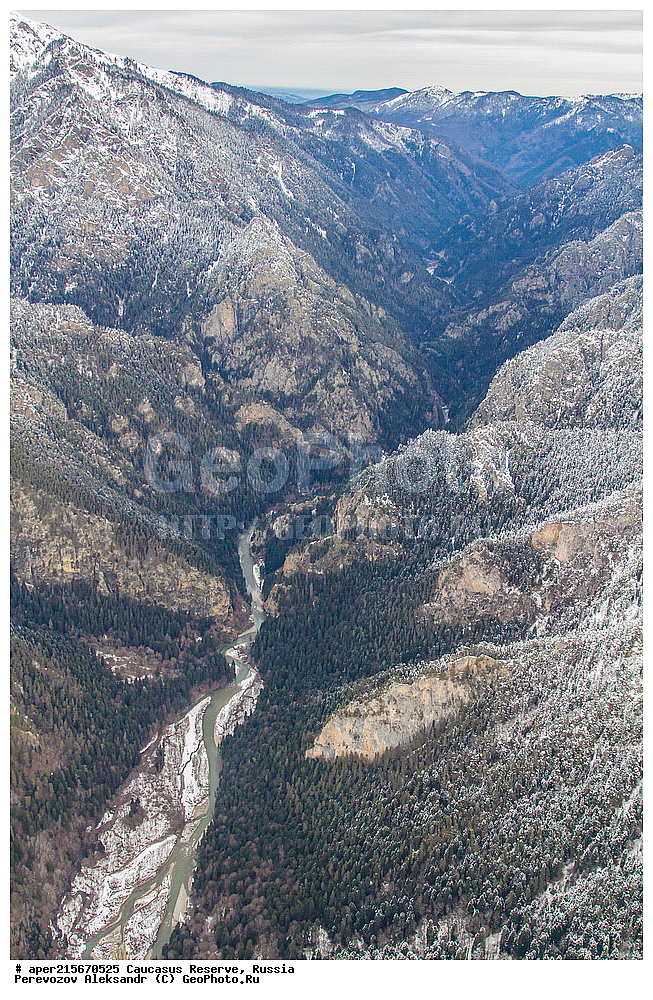 ������������� ����, ���������� ������, ���������-���������� ����������, ������, ���, ������, �������� ������, ���������� ��������������� ����������, ���������� ��������������� ��������� ���������� ���������� ����� �. �. �����������, �������, ����, ����� ����, ���, ��������, ����