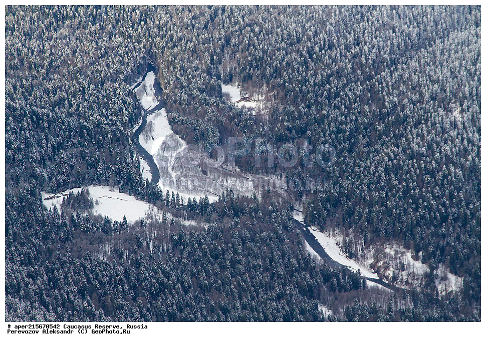 ������������� ����, ���������� ������, ���������-���������� ����������, ������, ���, ������, �������� ������, ���������� ��������������� ����������, ���������� ��������������� ��������� ���������� ���������� ����� �. �. �����������, ������ ������, ���, ��������, ����