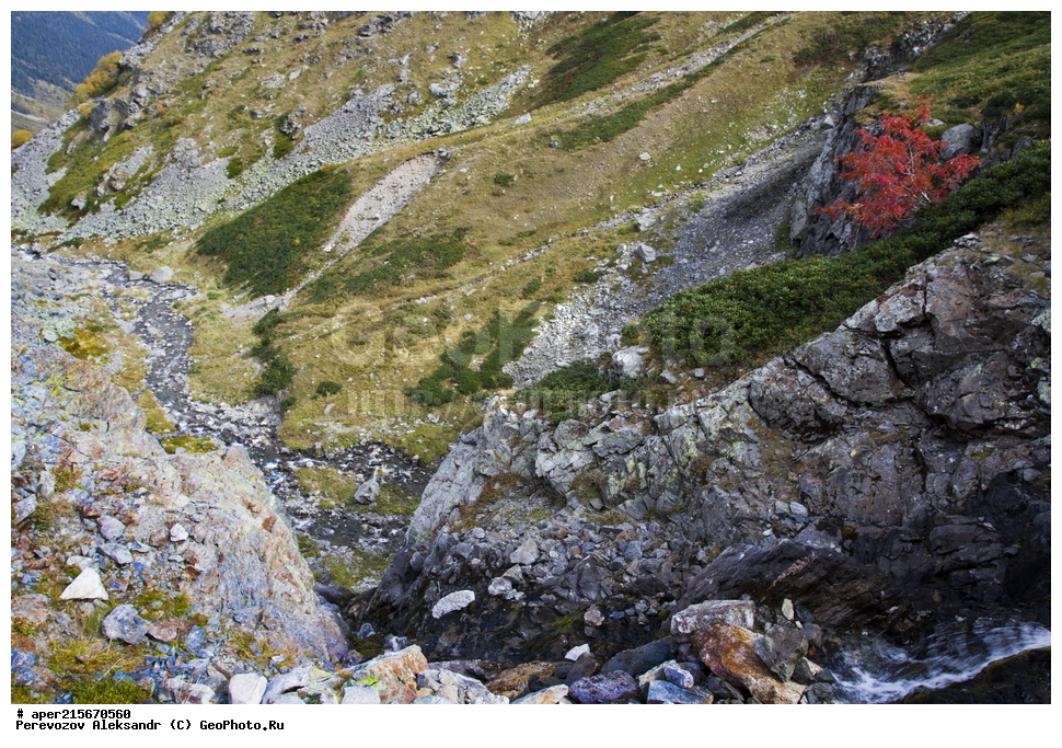 ������������� ����, ���������� ������, ���������-���������� ����������, ������, ���, ������, �������� ������, ���������� ��������������� ����������, ���������� ��������������� ��������� ���������� ���������� ����� �. �. �����������, �������, ����, ������� ����, ����������, �����