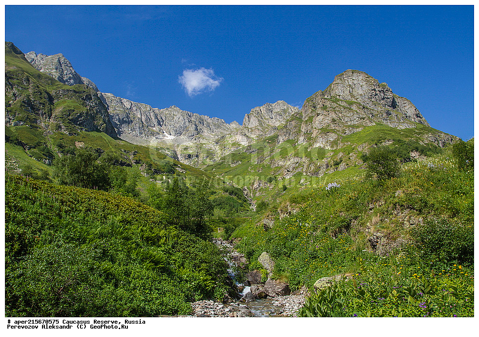 ������������� ����, ���������� ������, ���������-���������� ����������, ������, ���, ������, �������� ������, ���������� ��������������� ����������, ���������� ��������������� ��������� ���������� ���������� ����� �. �. �����������, �������, ����, ����� ����, �������, ����, �����, ������� ������