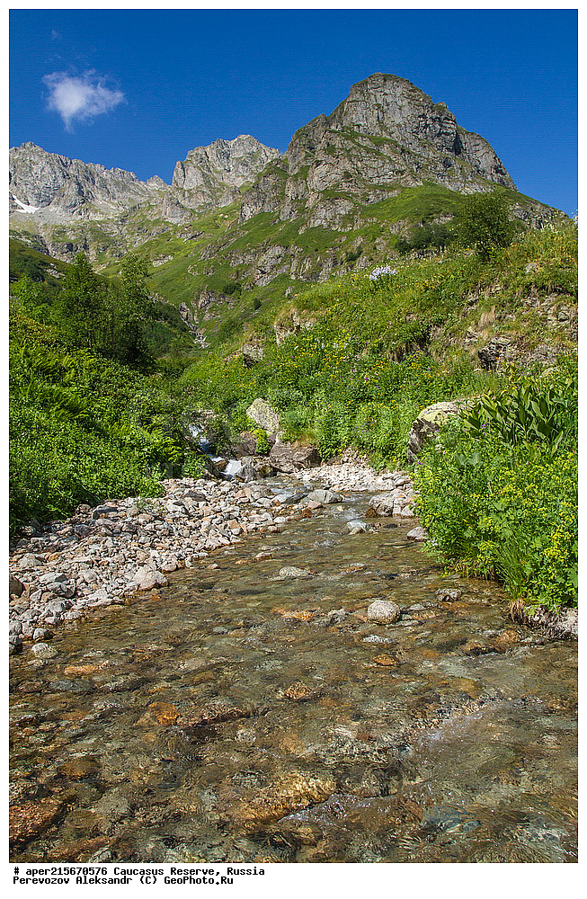 ������������� ����, ���������� ������, ���������-���������� ����������, ������, ���, ������, �������� ������, ���������� ��������������� ����������, ���������� ��������������� ��������� ���������� ���������� ����� �. �. �����������, �������, ����, ����� ����, �������, ����, �����, ������� ������