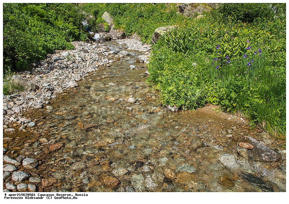 ������������� ����, ���������� ������, ���������-���������� ����������, ������, ���, ������, �������� ������, ���������� ��������������� ����������, ���������� ��������������� ��������� ���������� ���������� ����� �. �. �����������, �������, ����, ����� ����, �������, ����, �����, ������� ������