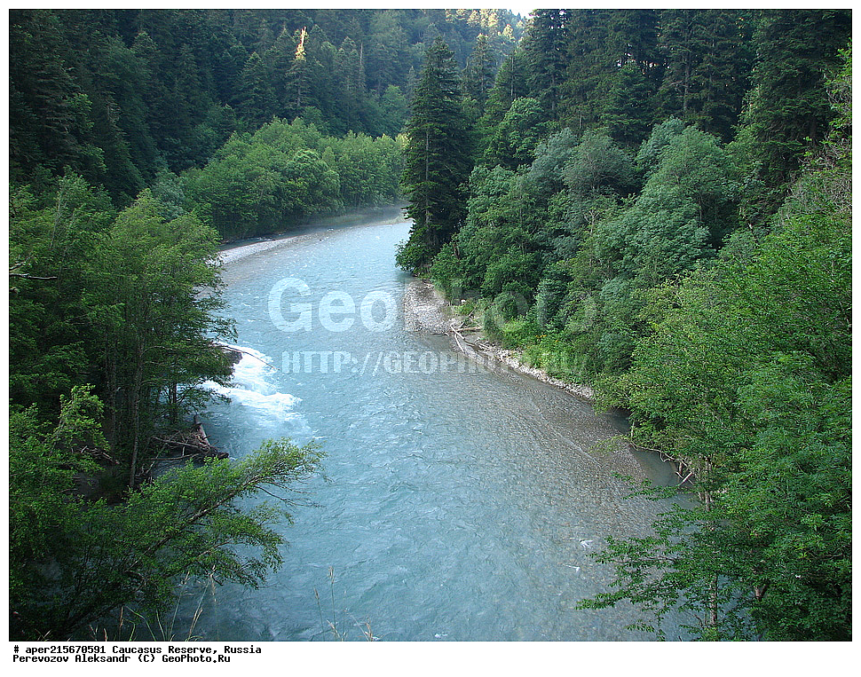 ������������� ����, ���������� ������, ���������-���������� ����������, ������, ���, ������, �������� ������, ���������� ��������������� ����������, ���������� ��������������� ��������� ���������� ���������� ����� �. �. �����������, �������, ����, ����� ����