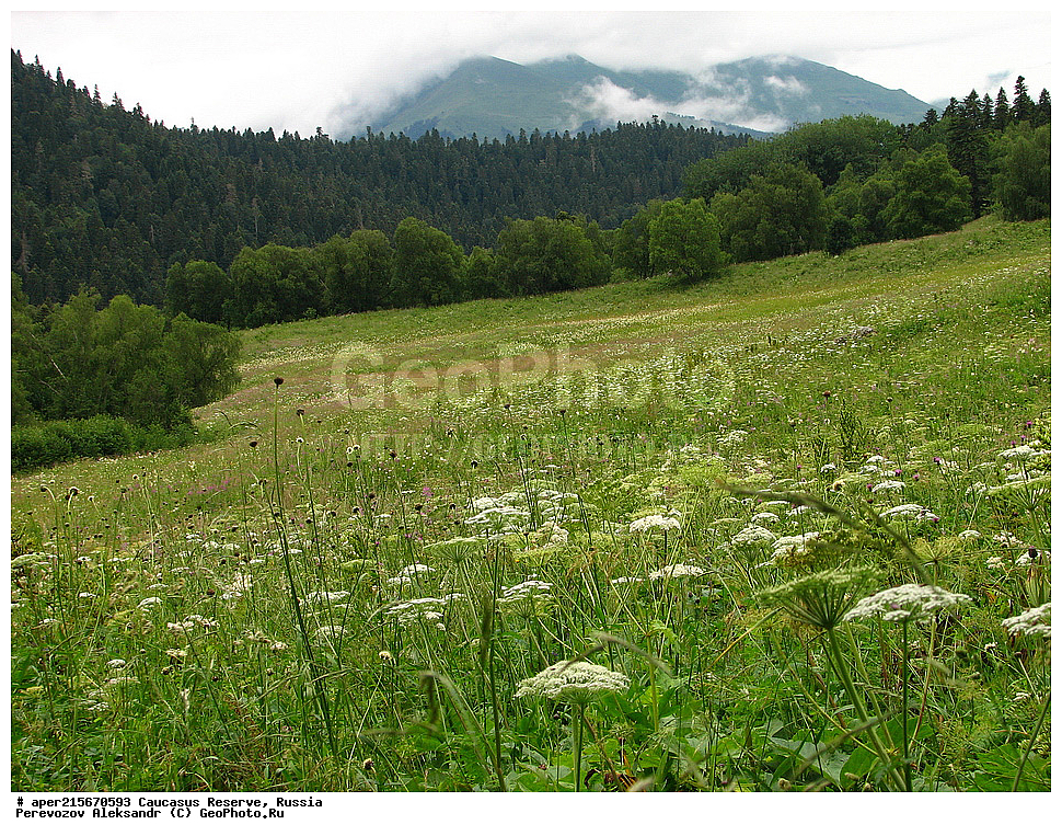 ������������� ����, ���������� ������, ���������-���������� ����������, ������, ���, ������, �������� ������, ���������� ��������������� ����������, ���������� ��������������� ��������� ���������� ���������� ����� �. �. �����������, ��������� ������, ����