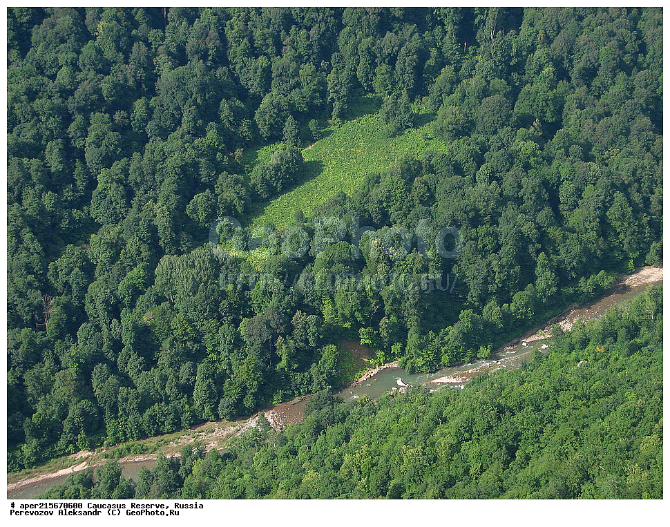  ������������� ����, ���������� ������, ���������-���������� ����������, ������, ���, ������, �������� ������, ���������� ��������������� ����������, ���������� ��������������� ��������� ���������� ���������� ����� �. �. �����������, ��������� ������, �����, �������, ����