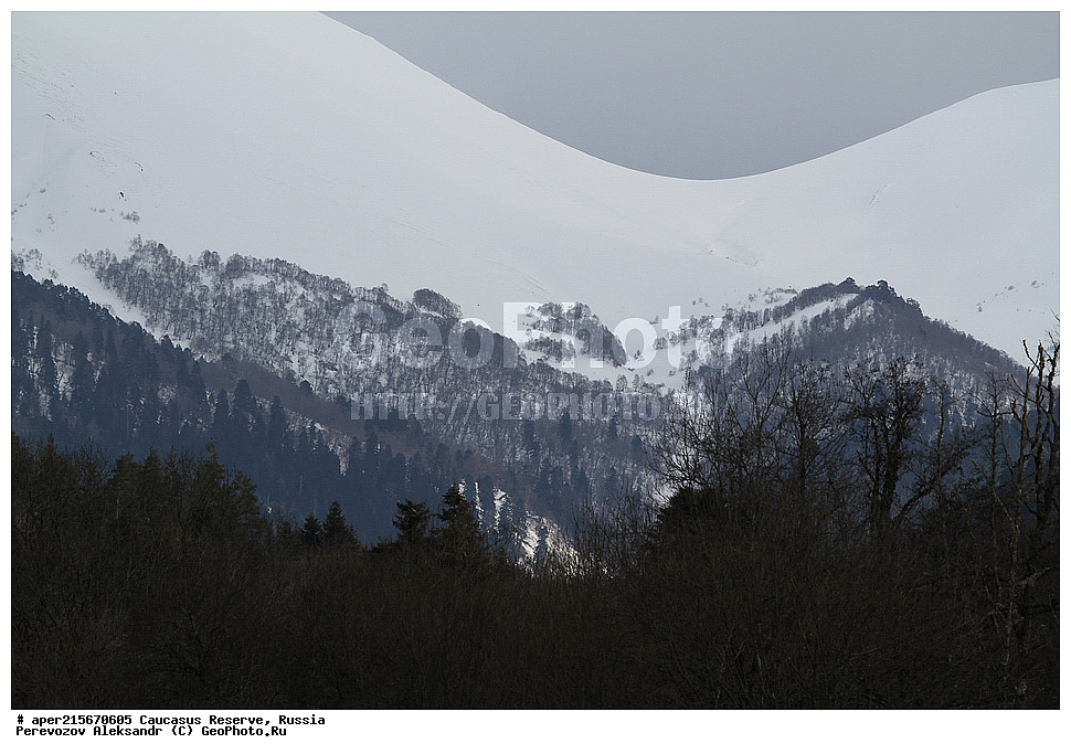 ������������� ����, ���������� ������, ���������-���������� ����������, ������, ���, ������, �������� ������, ���������� ��������������� ����������, ���������� ��������������� ��������� ���������� ���������� ����� �. �. �����������, ��������� �������, �����