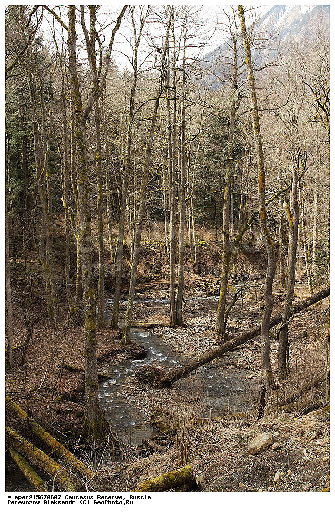 ������������� ����, ���������� ������, ���������-���������� ����������, ������, ���, ������, �������� ������, ���������� ��������������� ����������, ���������� ��������������� ��������� ���������� ���������� ����� �. �. �����������, �������, ����, ����� ����, �������