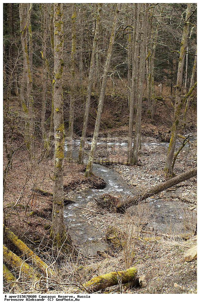 ������������� ����, ���������� ������, ���������-���������� ����������, ������, ���, ������, �������� ������, ���������� ��������������� ����������, ���������� ��������������� ��������� ���������� ���������� ����� �. �. �����������, �������, ����, ����� ����, �������