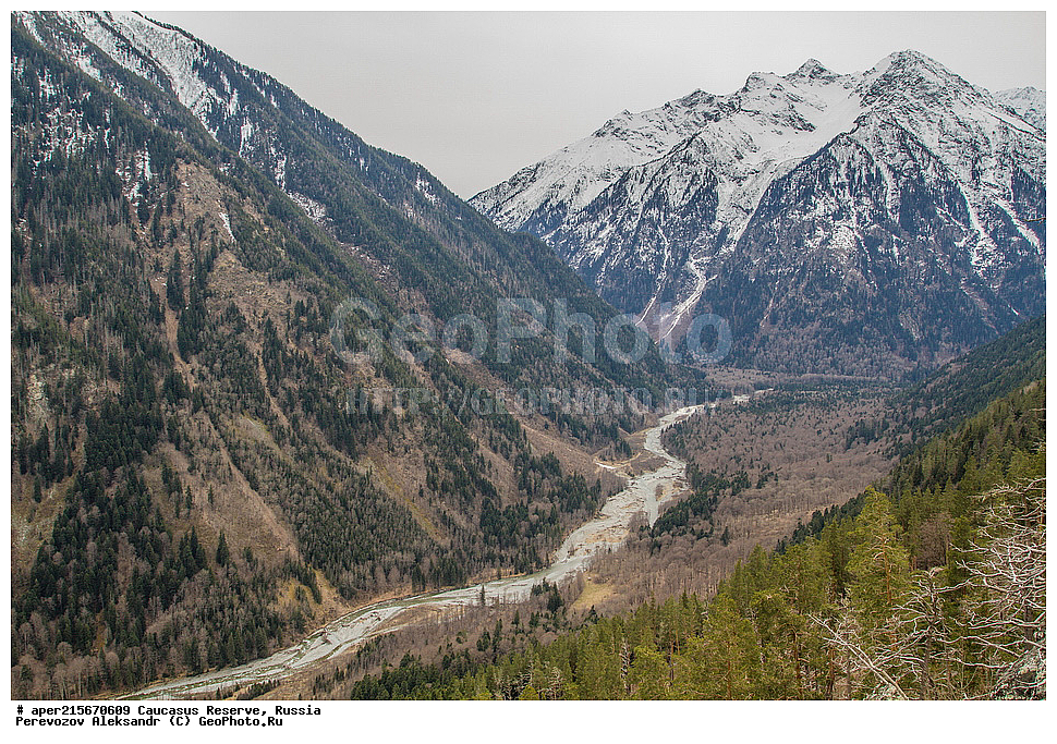 ������������� ����, ���������� ������, ���������-���������� ����������, ������, ���, ������, �������� ������, ���������� ��������������� ����������, ���������� ��������������� ��������� ���������� ���������� ����� �. �. �����������, �������, ����, ����� ����