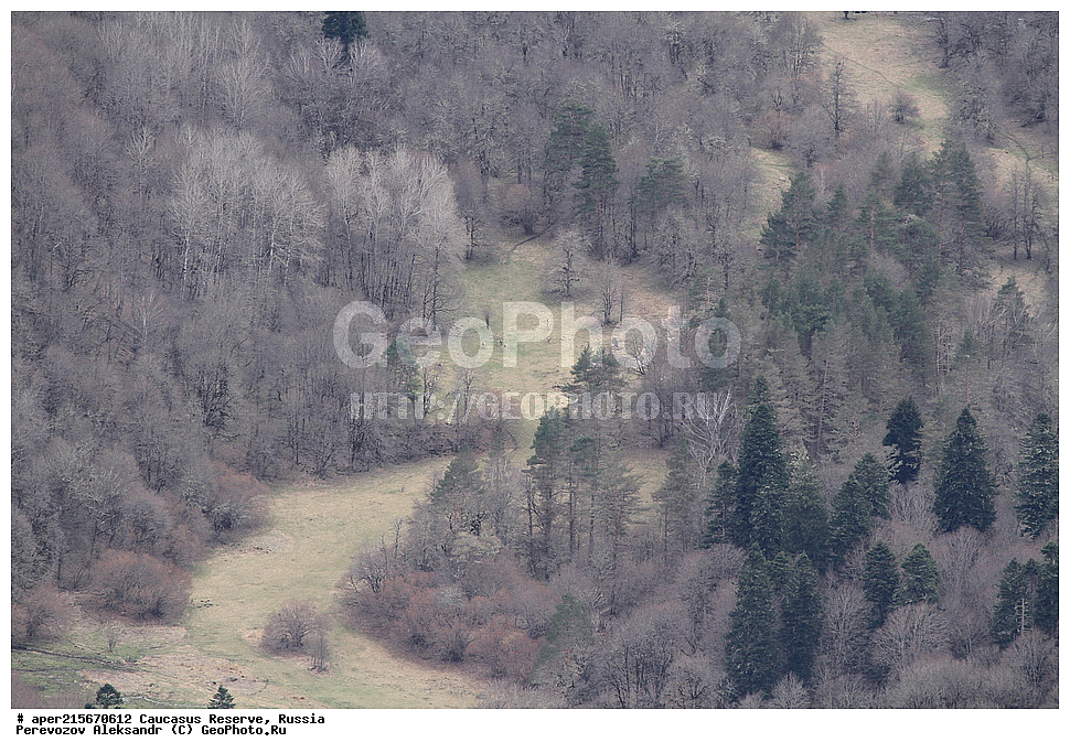 ������������� ����, ���������� ������, ���������-���������� ����������, ������, ���, ������, �������� ������, ���������� ��������������� ����������, ���������� ��������������� ��������� ���������� ���������� ����� �. �. �����������, ����������� ������, ������ ������, �����