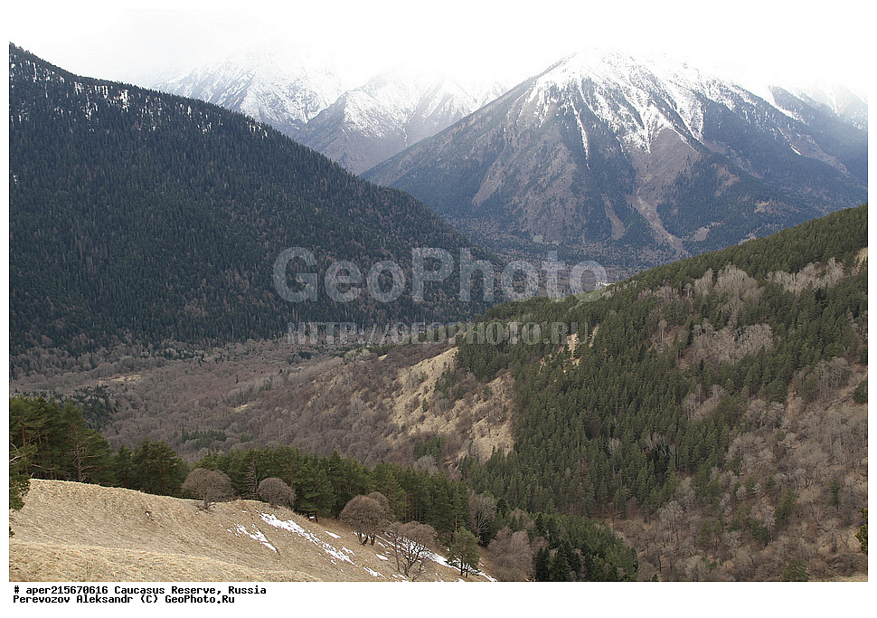 ������������� ����, ���������� ������, ���������-���������� ����������, ������, ���, ������, �������� ������, ���������� ��������������� ����������, ���������� ��������������� ��������� ���������� ���������� ����� �. �. �����������, �������, ����, ����� ����, �������� ����� ����, ������, ������