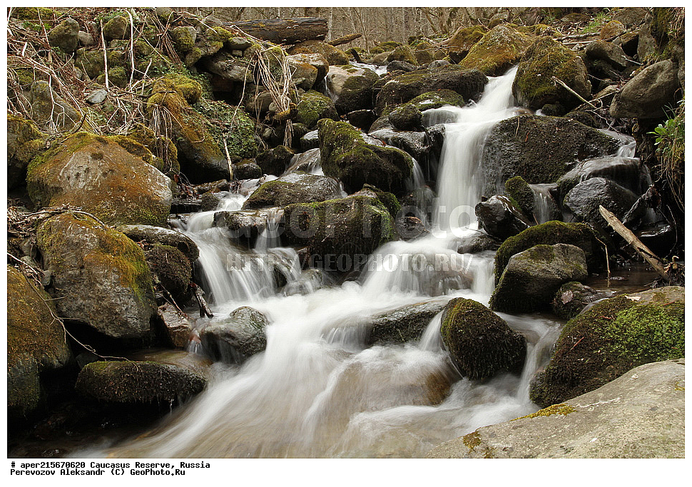 ������������� ����, ���������� ������, ���������-���������� ����������, ������, ���, ������, �������� ������, ���������� ��������������� ����������, ���������� ��������������� ��������� ���������� ���������� ����� �. �. �����������, �������, ����, ����� ����, ���������� �����