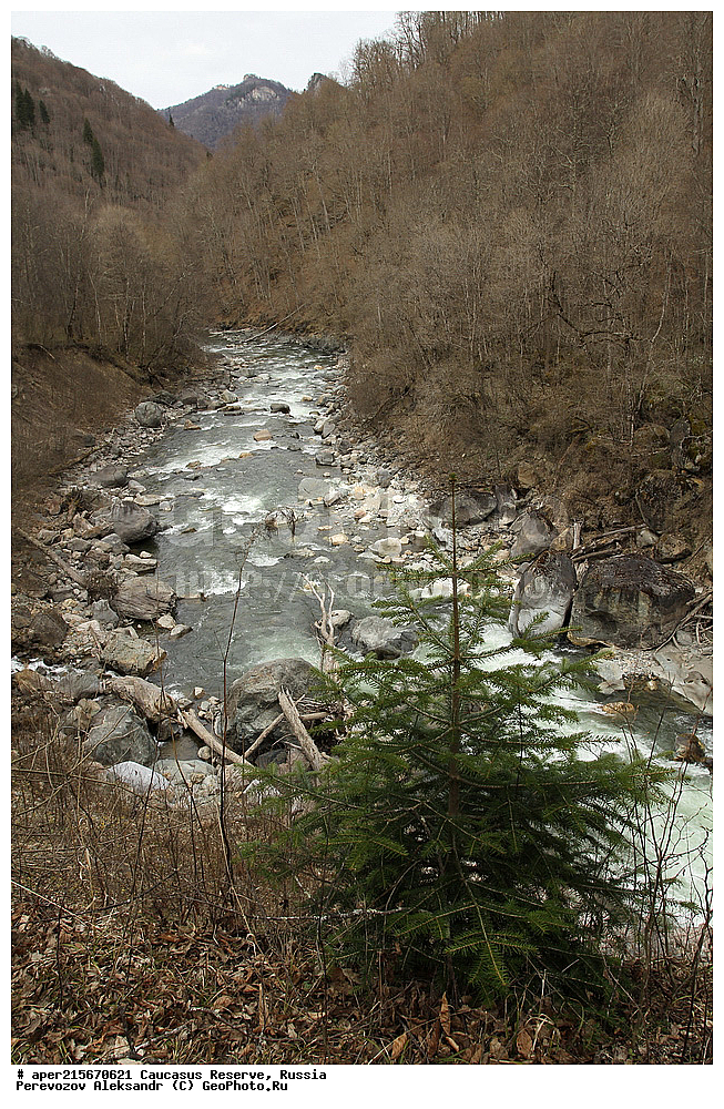 ������������� ����, ���������� ������, ���������-���������� ����������, ������, ���, ������, �������� ������, ���������� ��������������� ����������, ���������� ��������������� ��������� ���������� ���������� ����� �. �. �����������, �������, ����, ����� ����