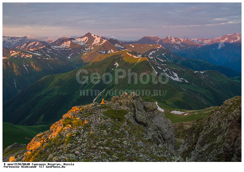 ������������� ����, ���������� ������, ���������-���������� ����������, ������, ���, ������, �������� ������, ���������� ��������������� ����������, ���������� ��������������� ��������� ���������� ���������� ����� �. �. �����������, �������, ����, ����� ����, �������� ����� ����, ������ �������, ��������, ����, ���, �����, ����