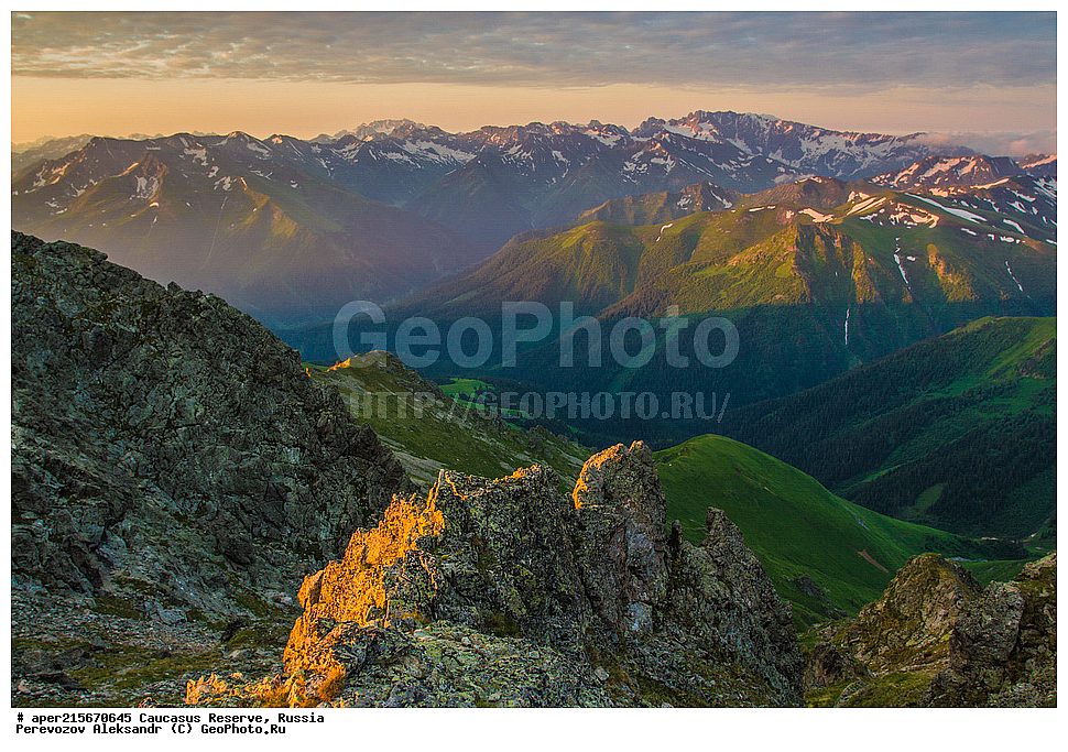 ������������� ����, ���������� ������, ���������-���������� ����������, ������, ���, ������, �������� ������, ���������� ��������������� ����������, ���������� ��������������� ��������� ���������� ���������� ����� �. �. �����������, �������, ����, ����� ����, �������� ����� ����, ������ �������, ��������, ����, ���, �����, ����