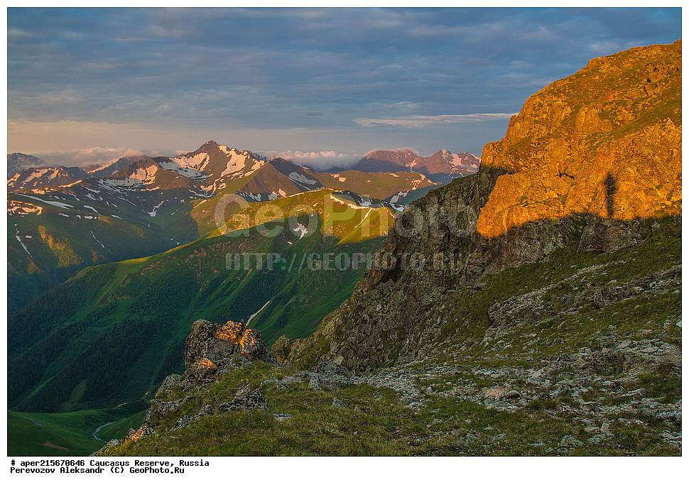 ������������� ����, ���������� ������, ���������-���������� ����������, ������, ���, ������, �������� ������, ���������� ��������������� ����������, ���������� ��������������� ��������� ���������� ���������� ����� �. �. �����������, �������, ����, ����� ����, �������� ����� ����, ������ �������, ��������, ����, ���, �����, ����