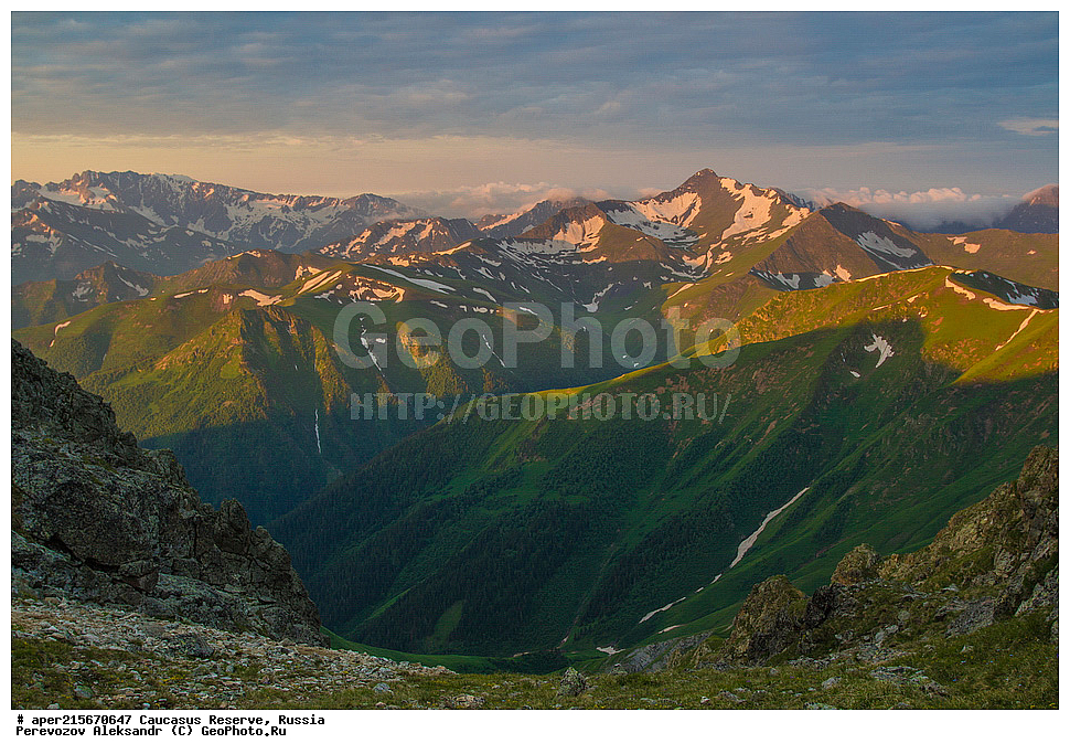 ������������� ����, ���������� ������, ���������-���������� ����������, ������, ���, ������, �������� ������, ���������� ��������������� ����������, ���������� ��������������� ��������� ���������� ���������� ����� �. �. �����������, �������, ����, ����� ����, �������� ����� ����, ������ �������, ��������, ����, ���, �����, ����