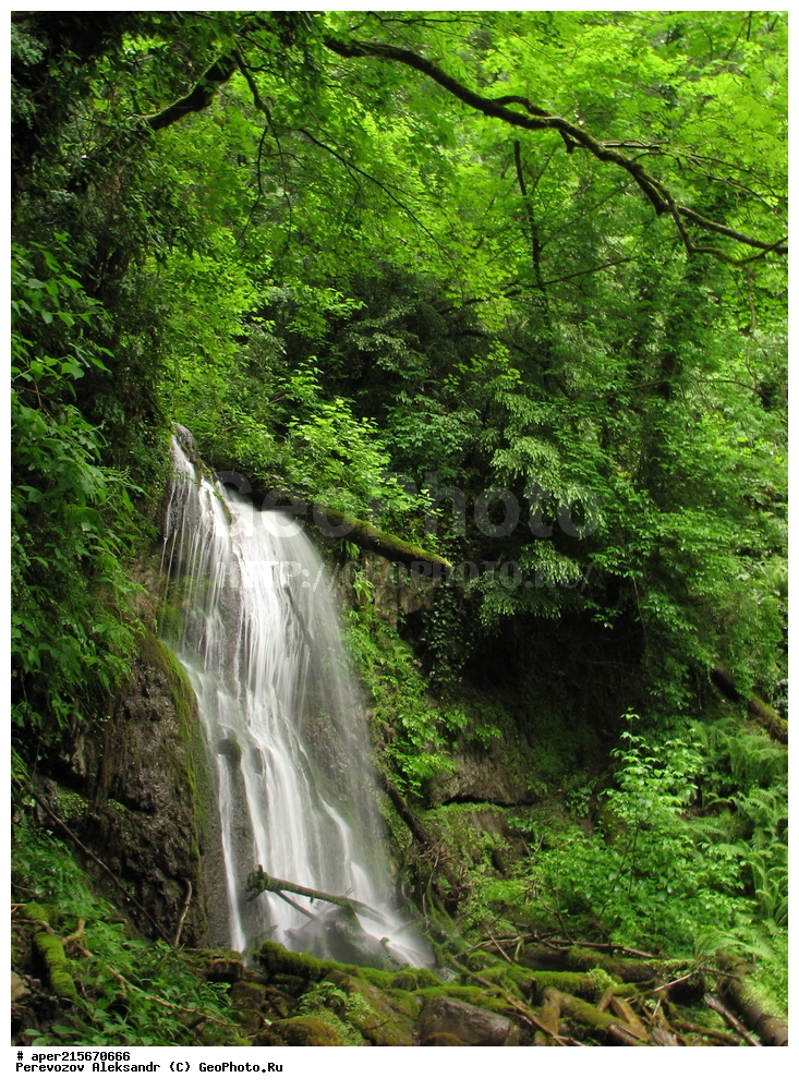 ������������� ����, ���������� ������, ���������-���������� ����������, ������, ���, ������, �������� ������, ���������� ��������������� ����������, ���������� ��������������� ��������� ���������� ���������� ����� �. �. �����������, ����, ����