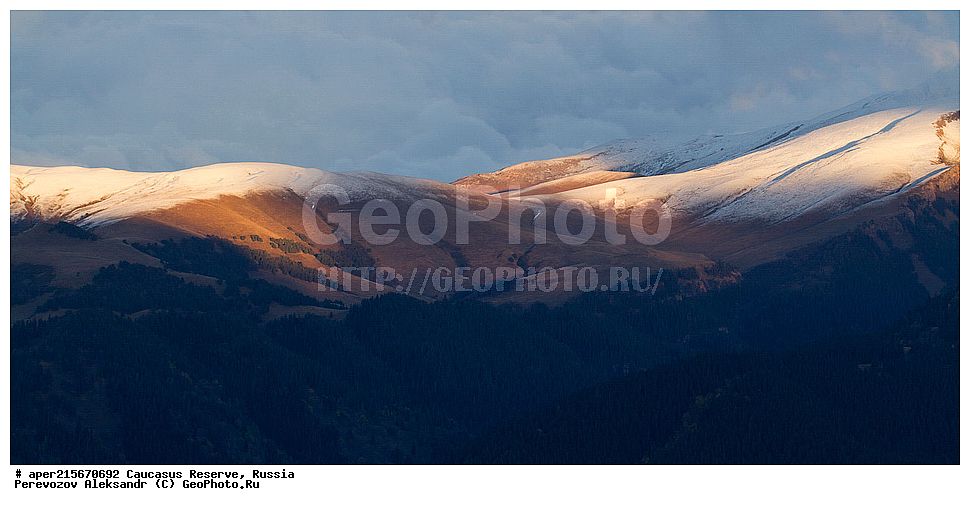 ������������� ����, ���������� ������, ���������-���������� ����������, ������, ���, ������, �������� ������, ���������� ��������������� ����������, ���������� ��������������� ��������� ���������� ���������� ����� �. �. �����������, ������� ���