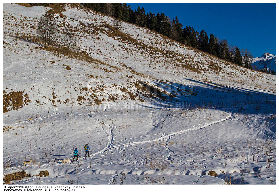 ������������� ����, ���������� ������, ���������-���������� ����������, ������, ���, ������, �������� ������, ���������� ��������������� ����������, ���������� ��������������� ��������� ���������� ���������� ����� �. �. �����������, ������ ������, ����