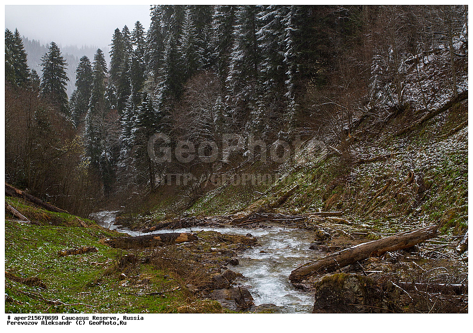 ������������� ����, ���������� ������, ���������-���������� ����������, ������, ���, ������, �������� ������, ���������� ��������������� ����������, ���������� ��������������� ��������� ���������� ���������� ����� �. �. �����������, �������, ����, ����� ����, �������