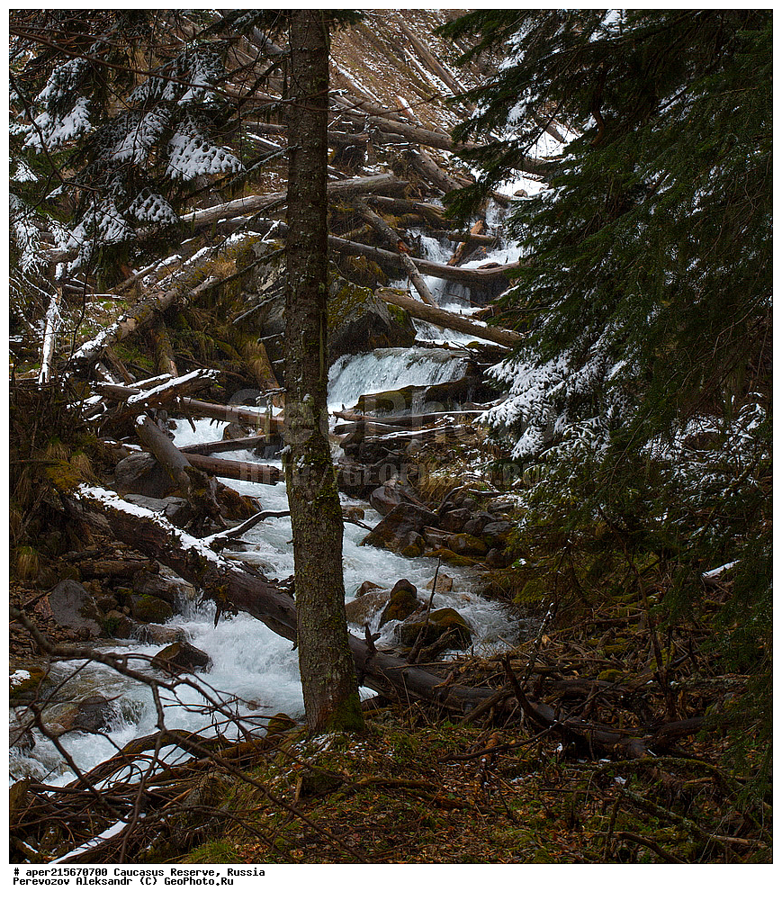 ������������� ����, ���������� ������, ���������-���������� ����������, ������, ���, ������, �������� ������, ���������� ��������������� ����������, ���������� ��������������� ��������� ���������� ���������� ����� �. �. �����������, �������, ����, ����� ����, �������