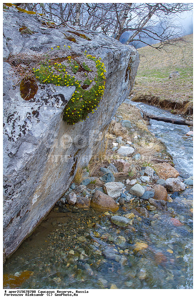 ������������� ����, ���������� ������, ���������-���������� ����������, ������, ���, ������, �������� ������, ���������� ��������������� ����������, ���������� ��������������� ��������� ���������� ���������� ����� �. �. �����������, �������, ����, ����� ����, ��������, ��������