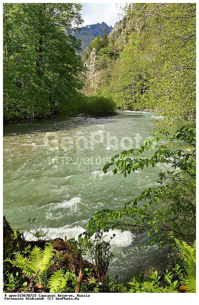 ������������� ����, ���������� ������, ���������-���������� ����������, ������, ���, ������, �������� ������, ���������� ��������������� ����������, ���������� ��������������� ��������� ���������� ���������� ����� �. �. �����������, �������, ����, ����� ����