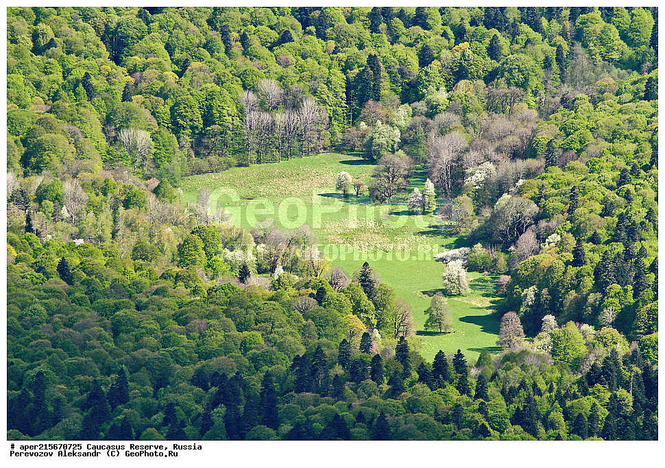 ������������� ����, ���������� ������, ���������-���������� ����������, ������, ���, ������, �������� ������, ���������� ��������������� ����������, ���������� ��������������� ��������� ���������� ���������� ����� �. �. �����������, ����������� ������, ������ ������, �����