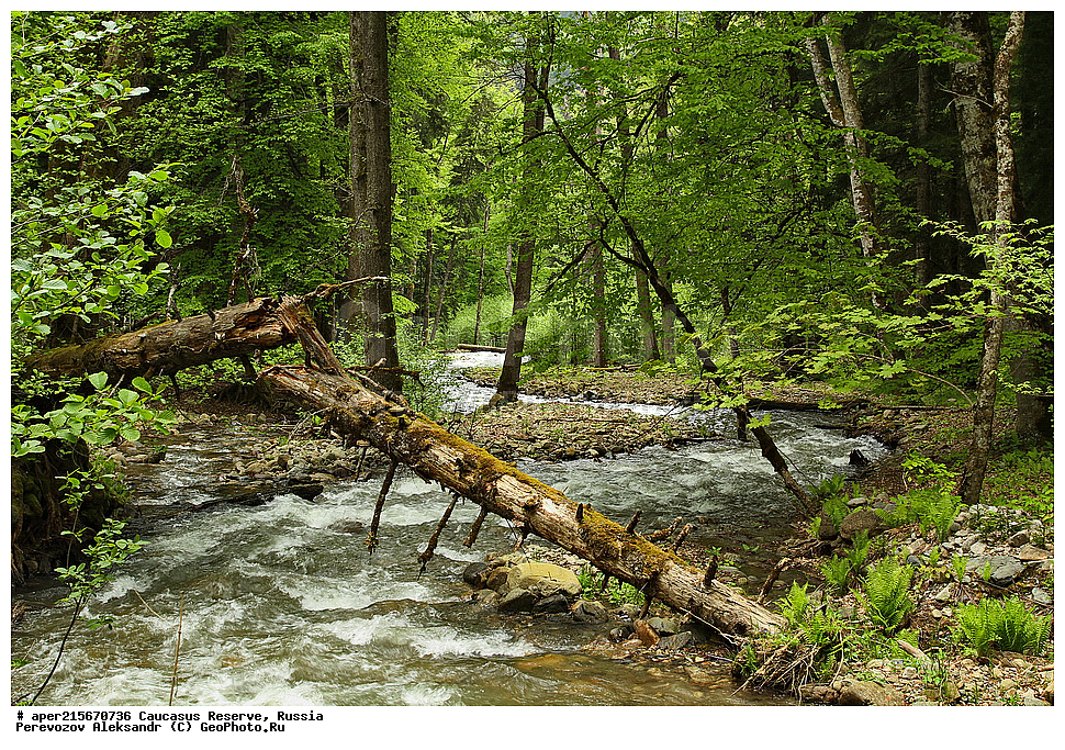 ������������� ����, ���������� ������, ���������-���������� ����������, ������, ���, ������, �������� ������, ���������� ��������������� ����������, ���������� ��������������� ��������� ���������� ���������� ����� �. �. �����������, �������, ����, ����� ����, �������