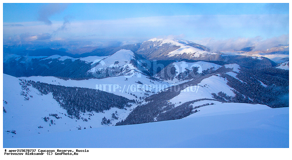  ������������� ����, ���������� ������, ���������-���������� ����������, ������, ���, ������, �������� ������, ���������� ��������������� ����������, ���������� ��������������� ��������� ���������� ���������� ����� �. �. �����������, �������, ����, �����, ��������, ���������, �����, ���, ������, ������, �������� �����, ����