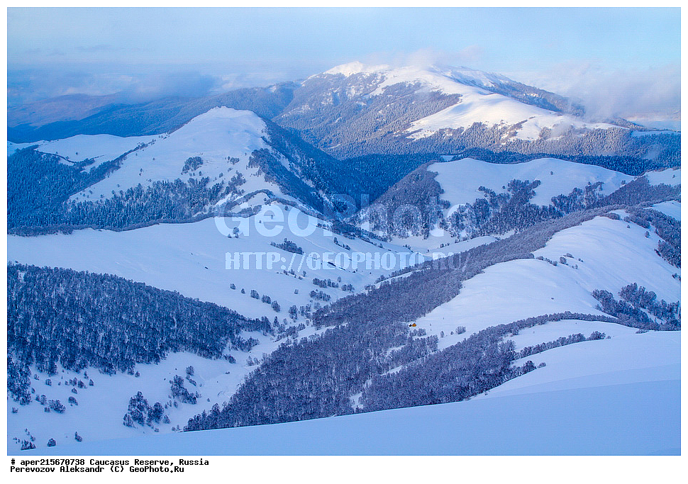  ������������� ����, ���������� ������, ���������-���������� ����������, ������, ���, ������, �������� ������, ���������� ��������������� ����������, ���������� ��������������� ��������� ���������� ���������� ����� �. �. �����������, �������, ����, �����, ��������, ���������, �����, ���, ������, ������, �������� �����, ����