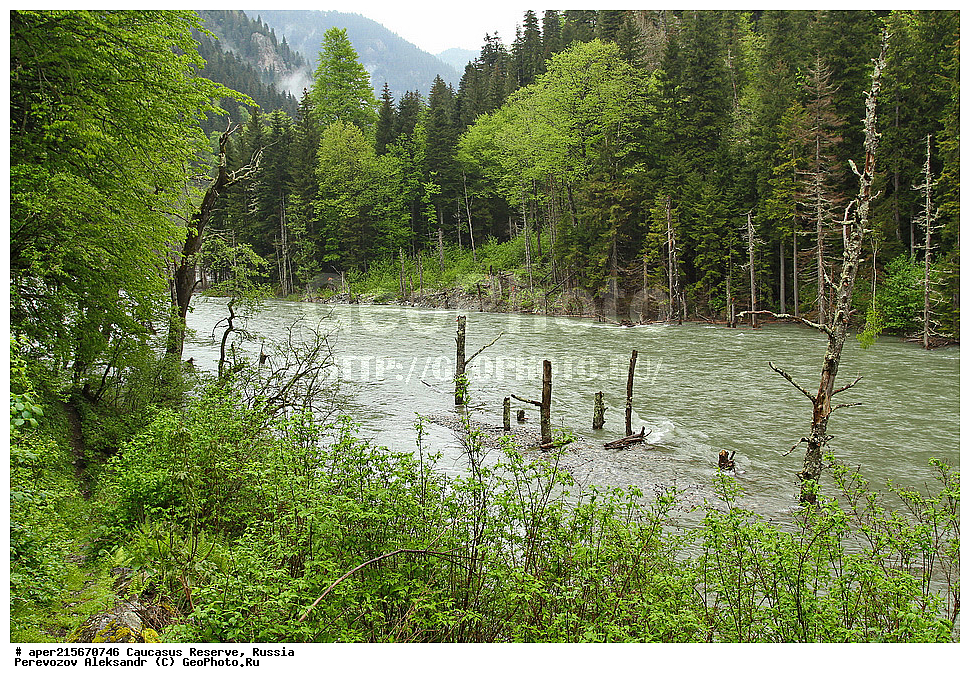 ������������� ����, ���������� ������, ���������-���������� ����������, ������, ���, ������, �������� ������, ���������� ��������������� ����������, ���������� ��������������� ��������� ���������� ���������� ����� �. �. �����������, �������, ����, ����� ����