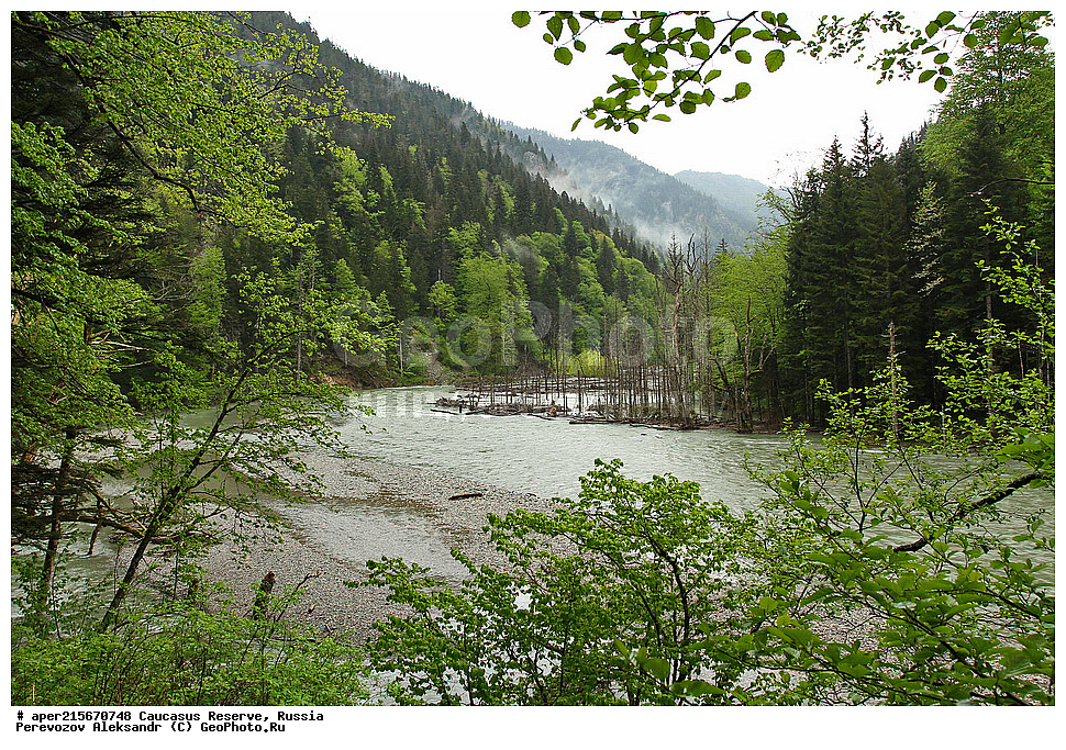 ������������� ����, ���������� ������, ���������-���������� ����������, ������, ���, ������, �������� ������, ���������� ��������������� ����������, ���������� ��������������� ��������� ���������� ���������� ����� �. �. �����������, �������, ����, ����� ����