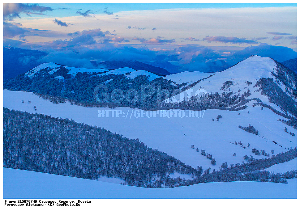  ������������� ����, ���������� ������, ���������-���������� ����������, ������, ���, ������, �������� ������, ���������� ��������������� ����������, ���������� ��������������� ��������� ���������� ���������� ����� �. �. �����������, �������, ����, �����, ��������, ���������, �����, ���, ������, ������, �������� �����, ����