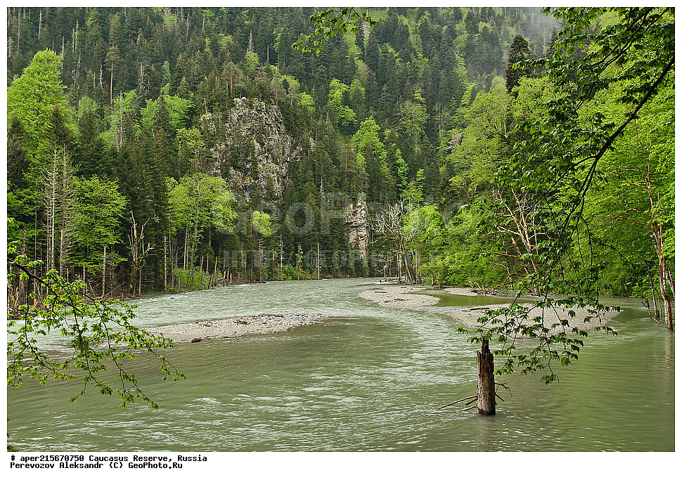 ������������� ����, ���������� ������, ���������-���������� ����������, ������, ���, ������, �������� ������, ���������� ��������������� ����������, ���������� ��������������� ��������� ���������� ���������� ����� �. �. �����������, �������, ����, ����� ����