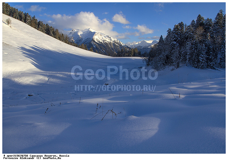 ������������� ����, ���������� ������, ���������-���������� ����������, ������, ���, ������, �������� ������, ���������� ��������������� ����������, ���������� ��������������� ��������� ���������� ���������� ����� �. �. �����������, �������� ������, ����