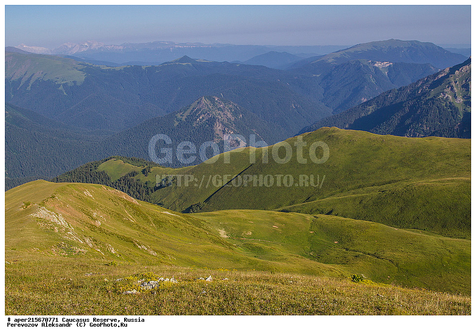 ������������� ����, ���������� ������, ���������-���������� ����������, ������, ���, ������, �������� ������, ���������� ��������������� ����������, ���������� ��������������� ��������� ���������� ���������� ����� �. �. �����������, �������, ����, �����, ������, ����, ���������� ����, ���, ��������, ������. ����