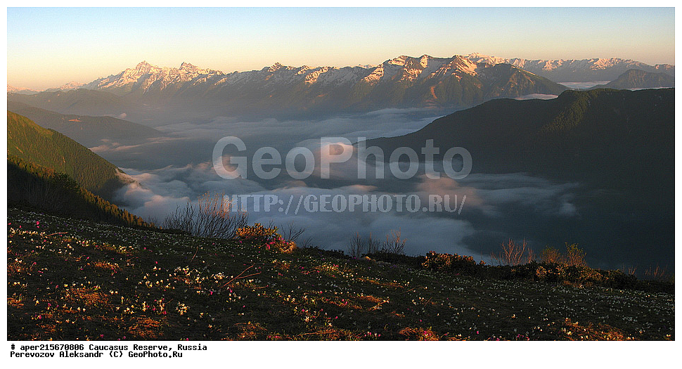 ������������� ����, ���������� ������, ���������-���������� ����������, ������, ���, ������, �������� ������, ���������� ��������������� ����������, ���������� ��������������� ��������� ���������� ���������� ����� �. �. �����������, �������, ����, ������, ������, ������� ������, �����