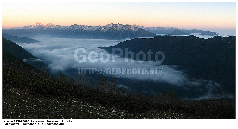 ������������� ����, ���������� ������, ���������-���������� ����������, ������, ���, ������, �������� ������, ���������� ��������������� ����������, ���������� ��������������� ��������� ���������� ���������� ����� �. �. �����������, �������, ����, ������, ������, ������� ������, �����