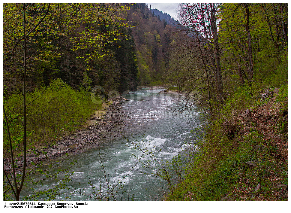 ������������� ����, ���������� ������, ���������-���������� ����������, ������, ���, ������, �������� ������, ���������� ��������������� ����������, ���������� ��������������� ��������� ���������� ���������� ����� �. �. �����������, �������, ����, ����� ����