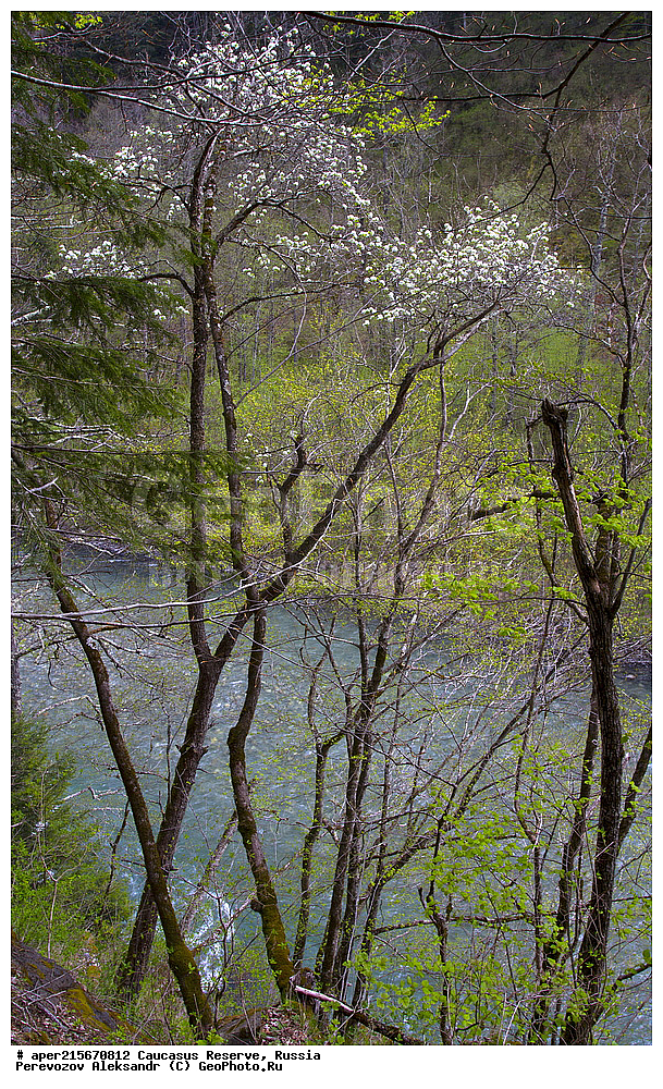 ������������� ����, ���������� ������, ���������-���������� ����������, ������, ���, ������, �������� ������, ���������� ��������������� ����������, ���������� ��������������� ��������� ���������� ���������� ����� �. �. �����������, �������, ����, ����� ����