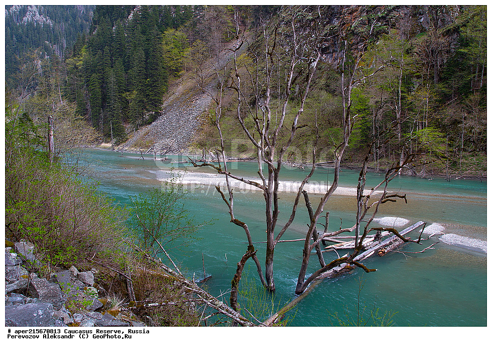 ������������� ����, ���������� ������, ���������-���������� ����������, ������, ���, ������, �������� ������, ���������� ��������������� ����������, ���������� ��������������� ��������� ���������� ���������� ����� �. �. �����������, �������, ����, ����� ����