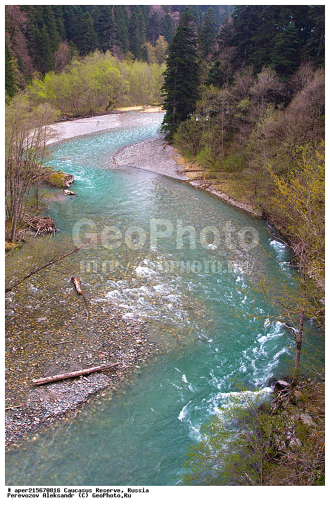 ������������� ����, ���������� ������, ���������-���������� ����������, ������, ���, ������, �������� ������, ���������� ��������������� ����������, ���������� ��������������� ��������� ���������� ���������� ����� �. �. �����������, �������, ����, ����� ����