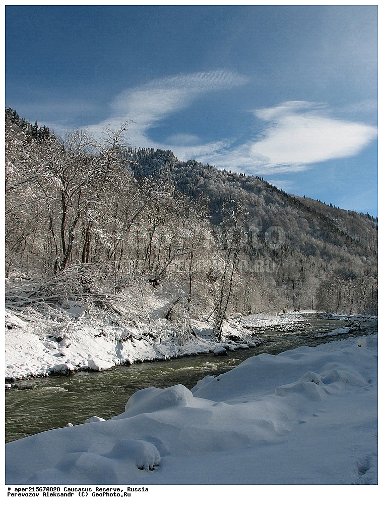 ������������� ����, ���������� ������, ���������-���������� ����������, ������, ���, ������, �������� ������, ���������� ��������������� ����������, ���������� ��������������� ��������� ���������� ���������� ����� �. �. �����������, �������, ����, ����� ����