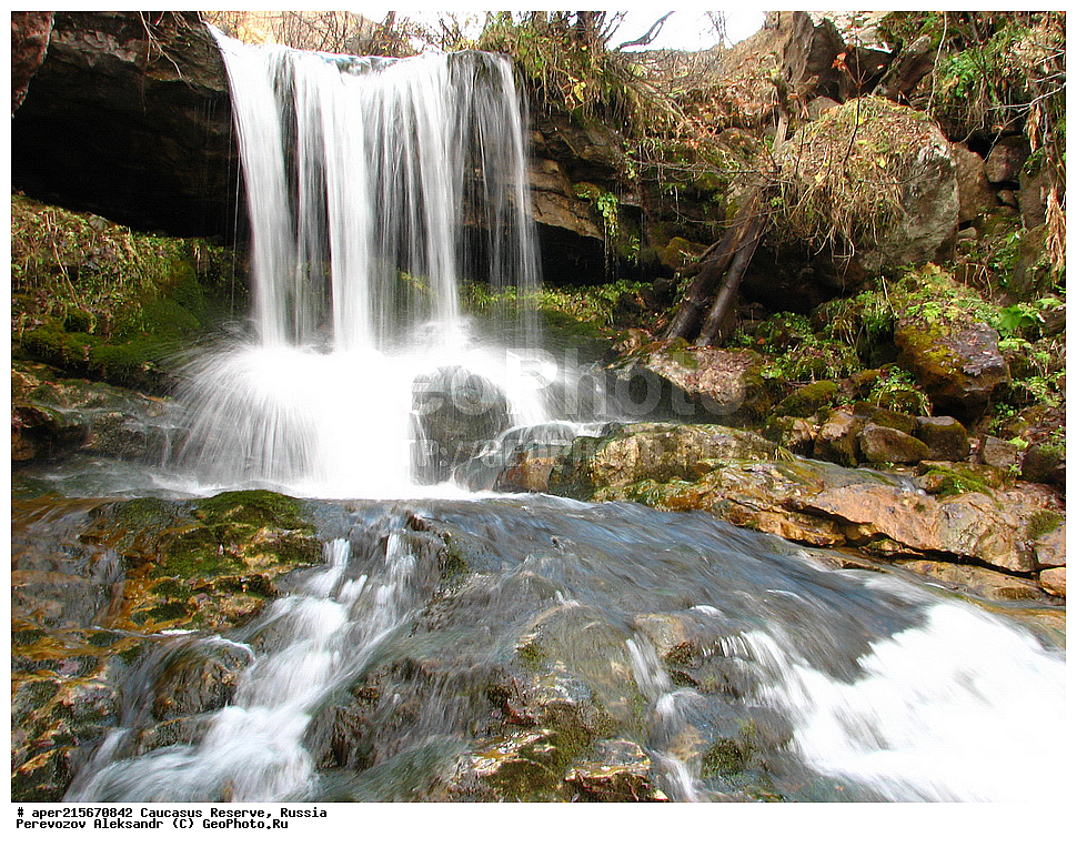 ������������� ����, ���������� ������, ���������-���������� ����������, ������, ���, ������, �������� ������, ���������� ��������������� ����������, ���������� ��������������� ��������� ���������� ���������� ����� �. �. �����������, �������, ����, ����� ����, ���, ������