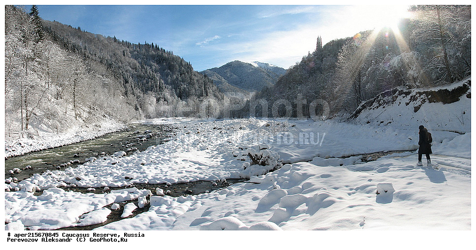 ������������� ����, ���������� ������, ���������-���������� ����������, ������, ���, ������, �������� ������, ���������� ��������������� ����������, ���������� ��������������� ��������� ���������� ���������� ����� �. �. �����������, �������, ����, ����� ����