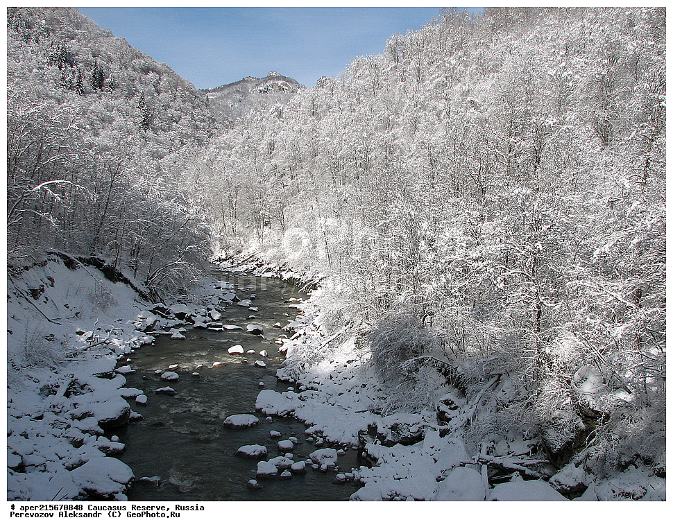 ������������� ����, ���������� ������, ���������-���������� ����������, ������, ���, ������, �������� ������, ���������� ��������������� ����������, ���������� ��������������� ��������� ���������� ���������� ����� �. �. �����������, �������, ����, ����� ����