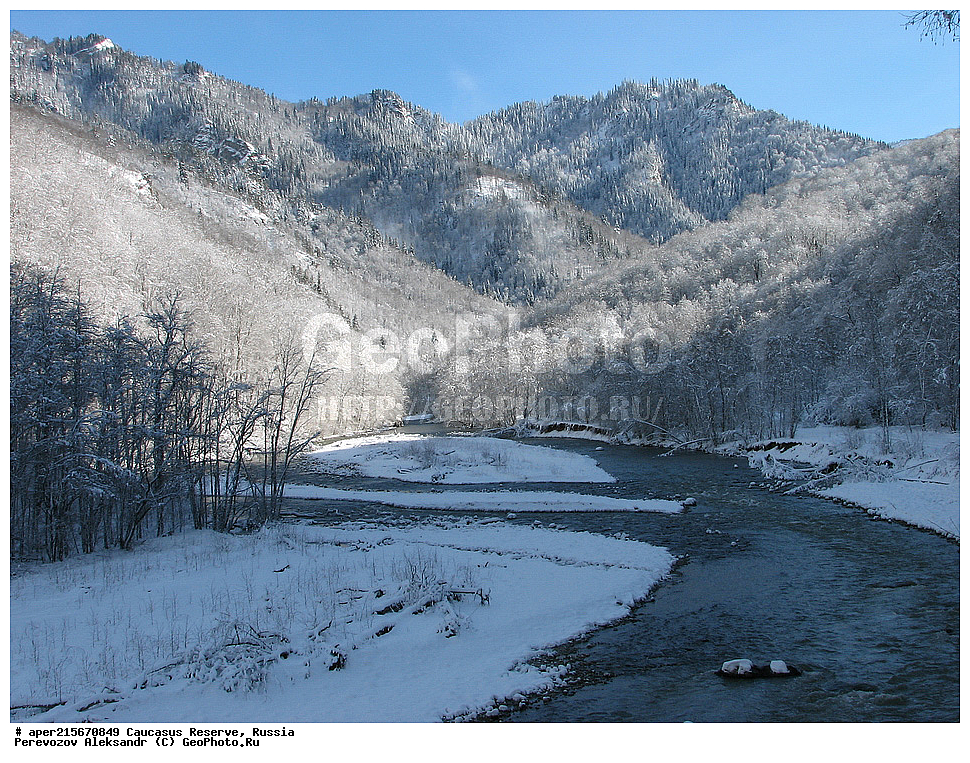 ������������� ����, ���������� ������, ���������-���������� ����������, ������, ���, ������, �������� ������, ���������� ��������������� ����������, ���������� ��������������� ��������� ���������� ���������� ����� �. �. �����������, �������, ����, ����� ����